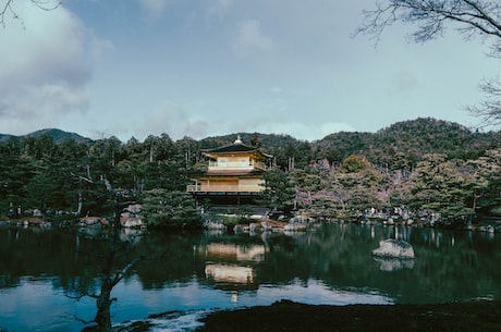 bga助焊膏 几乎次次都把芯片吹爆