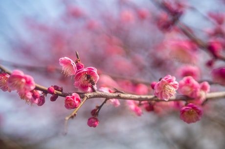 王菲谢霆锋又上热搜！究竟怎么回事？