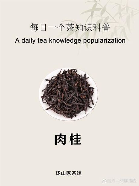 肉桂茶属于什么茶，解密肉桂茶，这是什么茶？