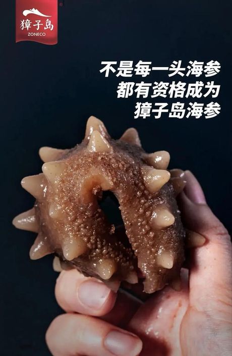 獐子岛海参：生态养殖的海洋美味