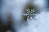 四川下雪，雪景美不胜收！